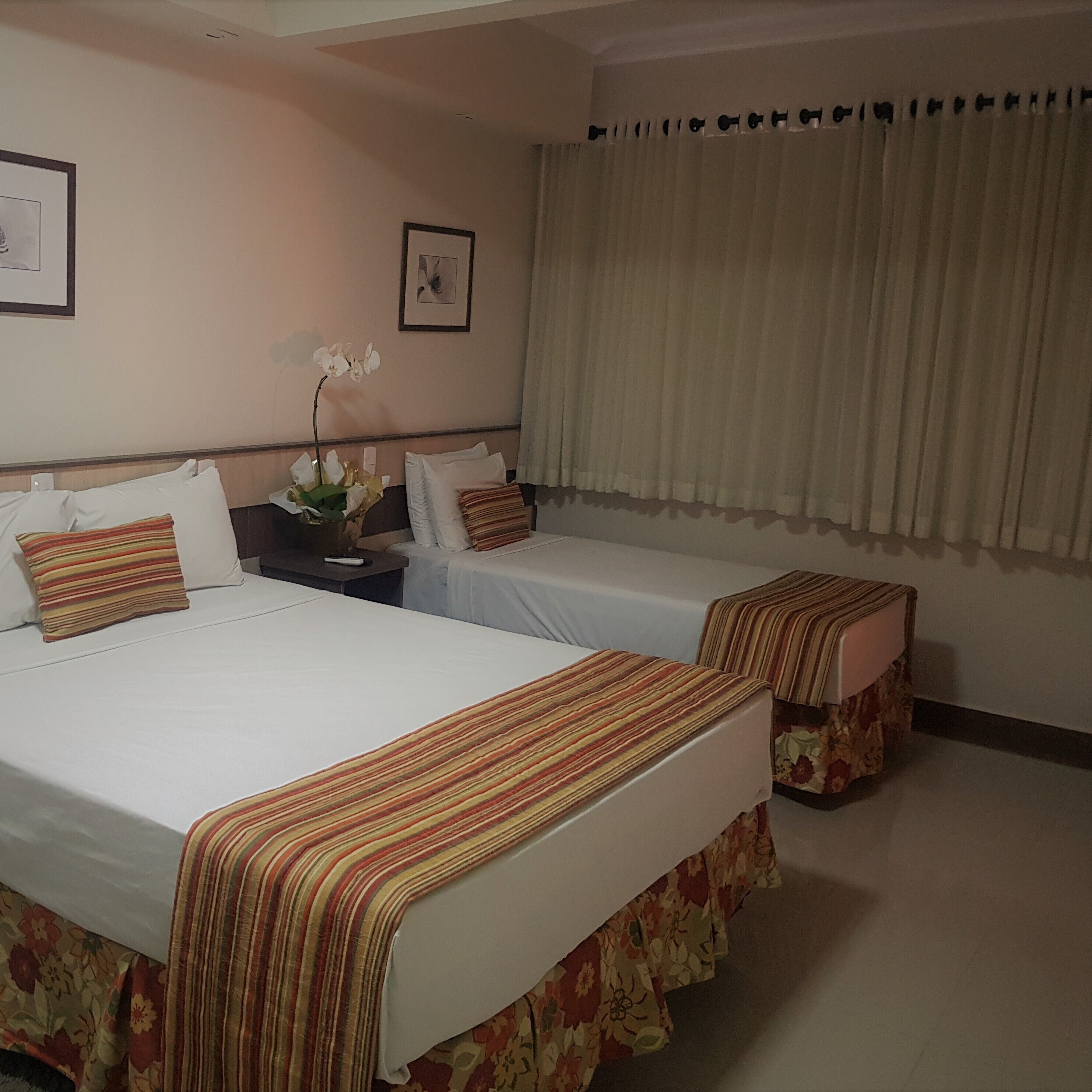 Habitación de hotel con dos camas individuales, una mesita de noche, un cuadro enmarcado en la pared y una ventana con cortinas.