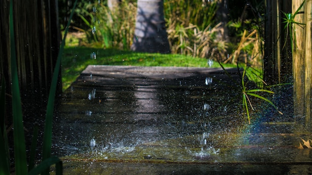 A wooden pathway leading to a pond with water splashing, surrounded by greenery.