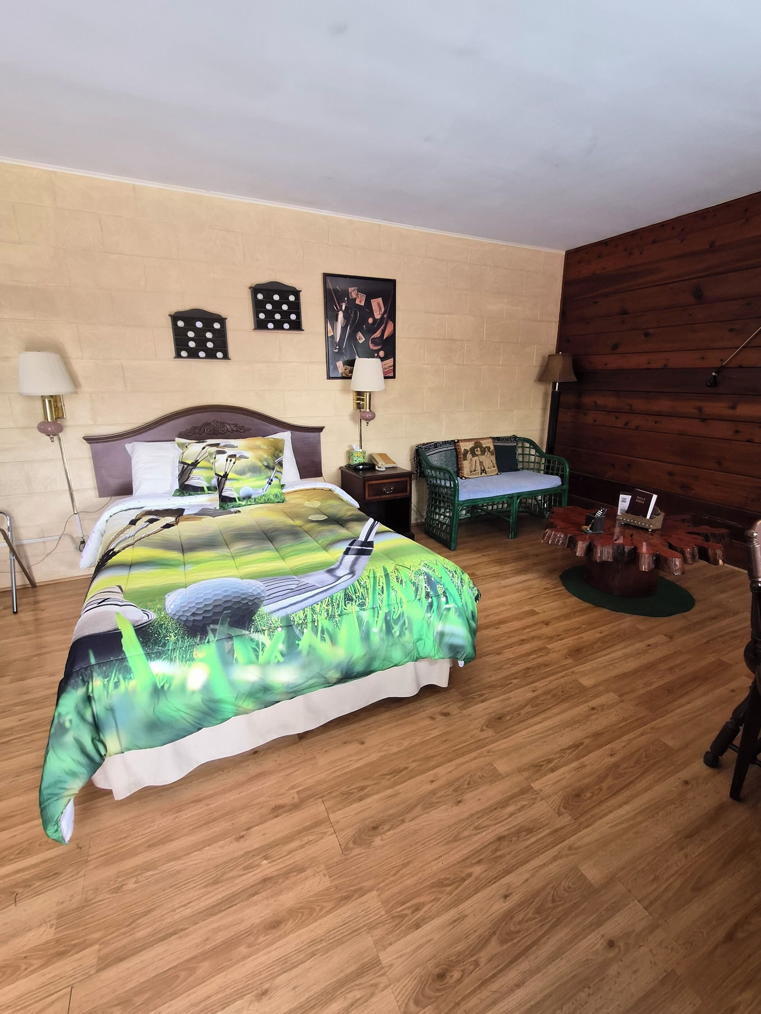 Individually decorated, individually furnished, desk, iron/ironing board