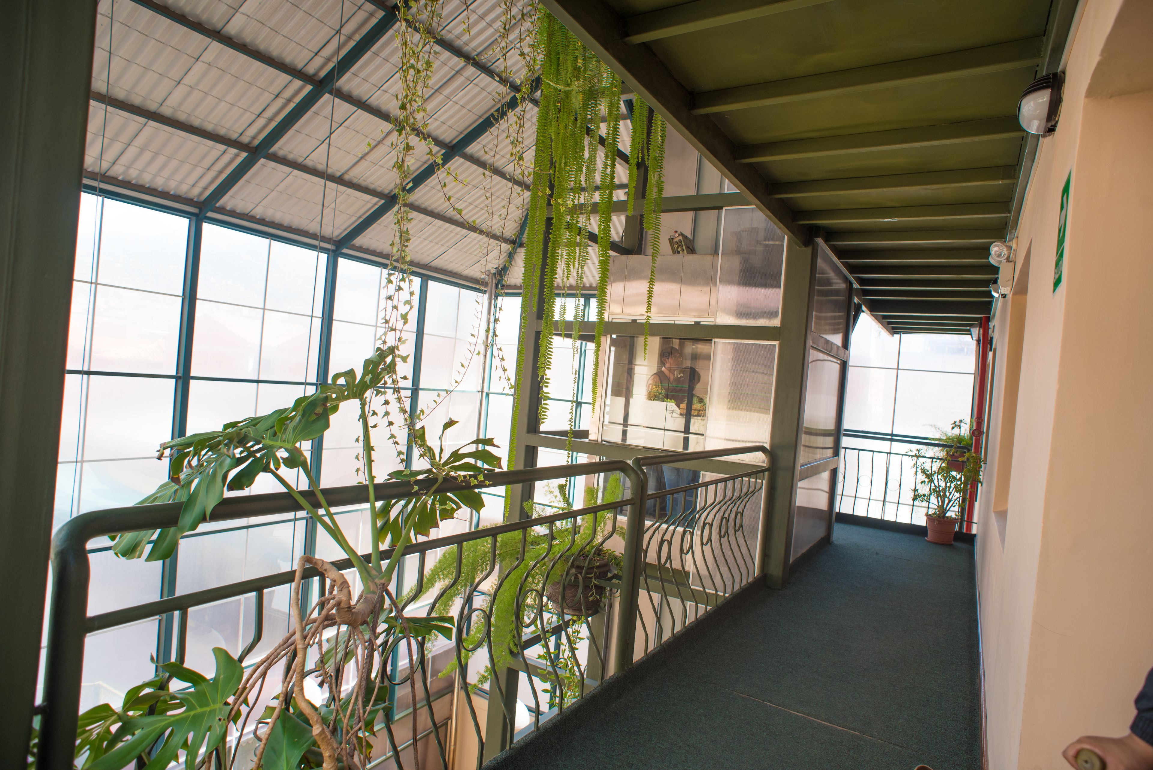 Un pasillo con barandales metálicos, ventanas amplias y plantas colgantes.