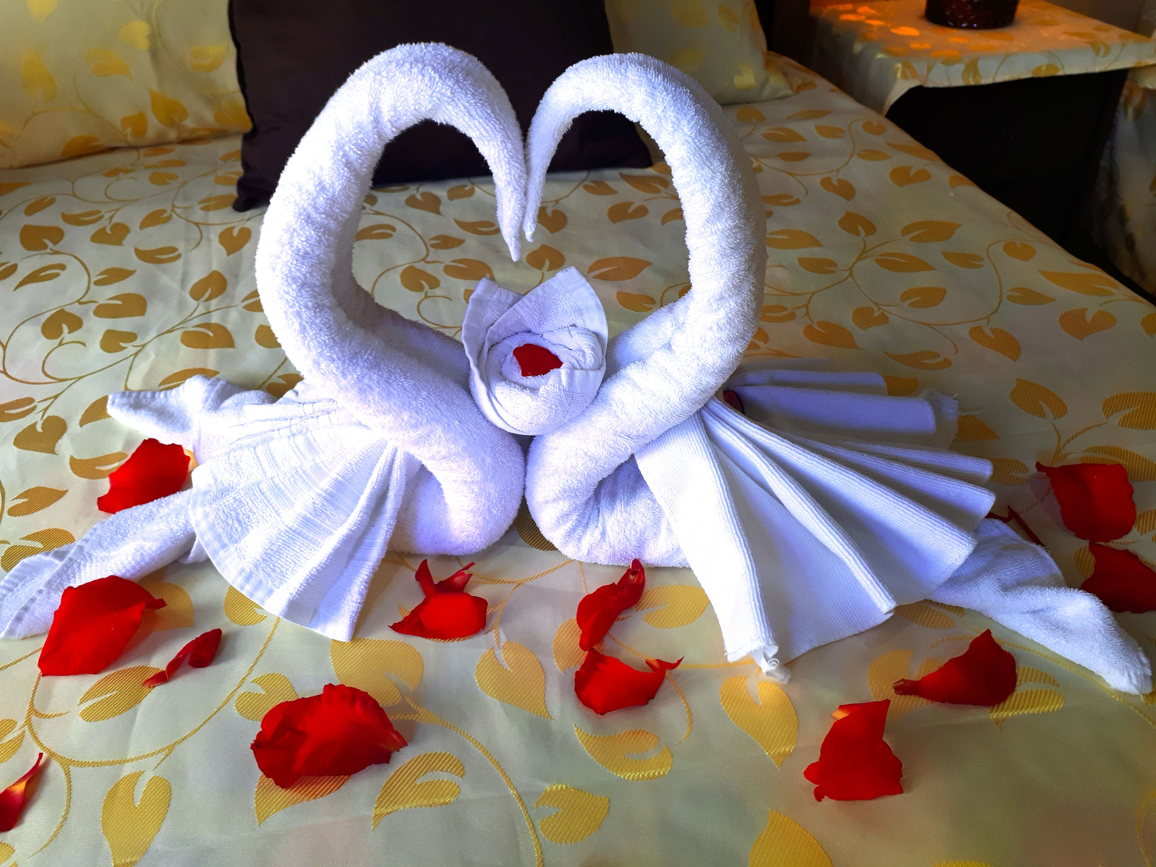 Photo - Aunty Arenal Lodge