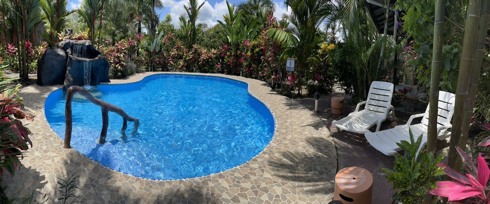 A swimming pool with a curved edge, surrounded by tropical plants and a stone-tiled deck.