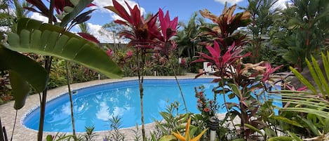 Piscina cercada por plantas tropicais exuberantes e um céu azul límpido.