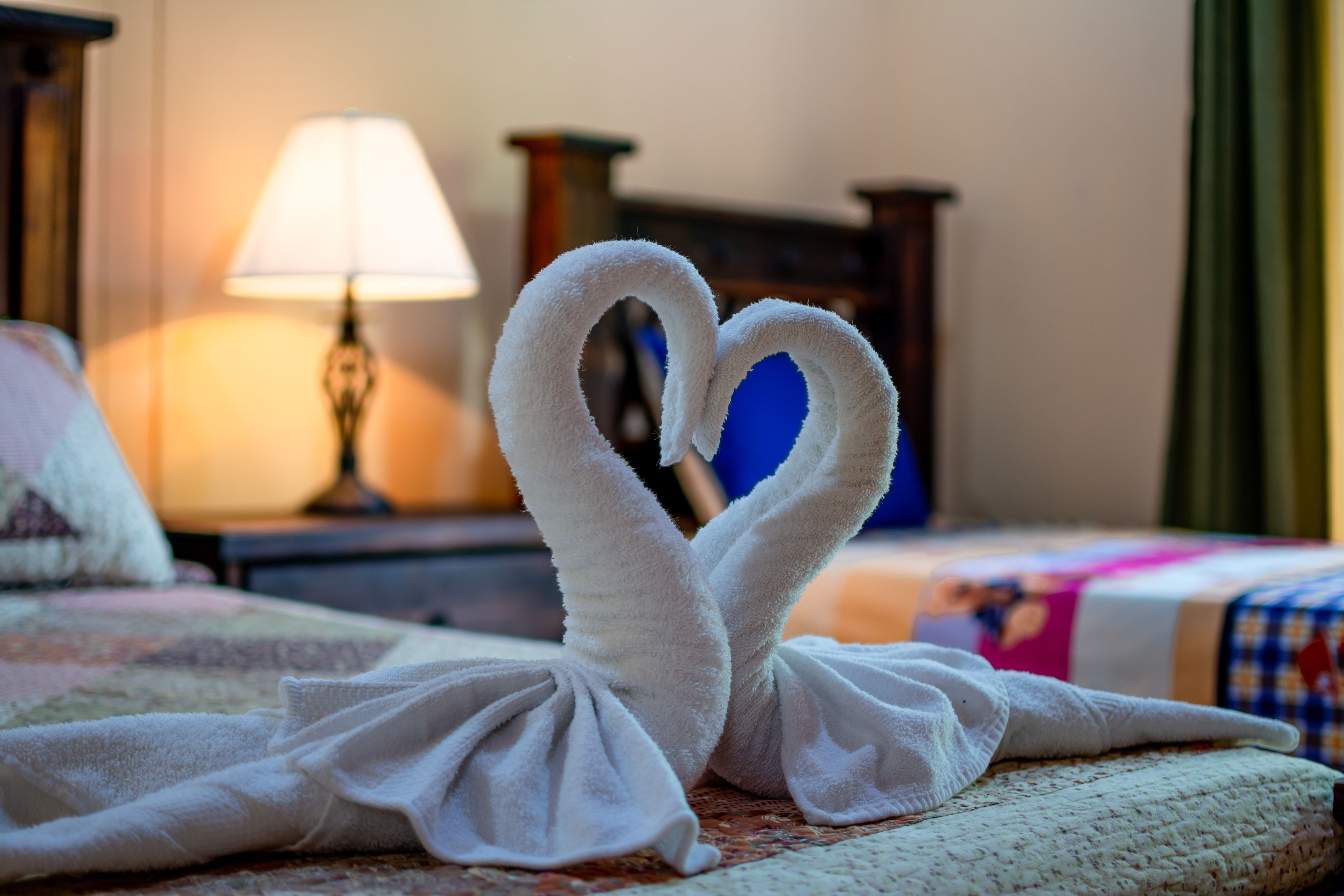 Photo - Aunty Arenal Lodge