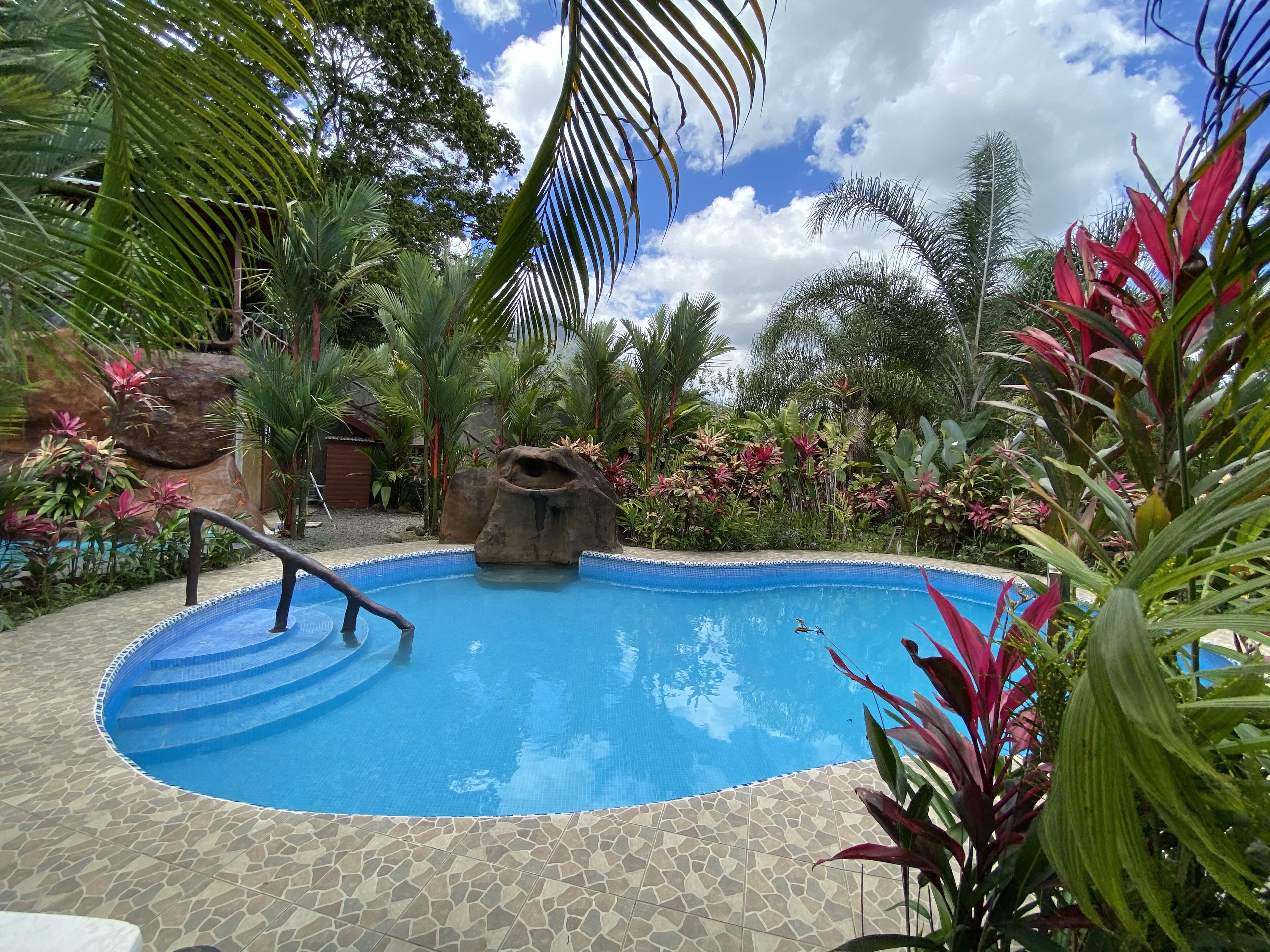 A swimming pool with a stone-tiled deck, surrounded by tropical plants and a rock feature.