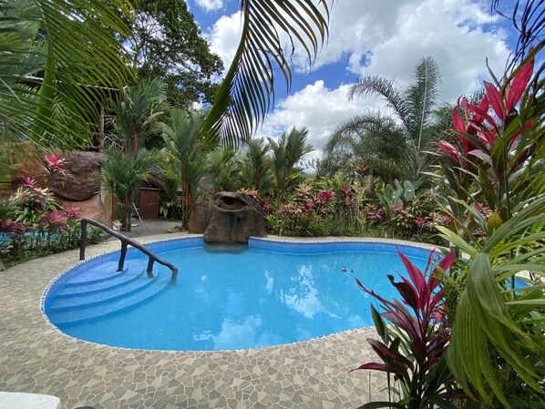 A swimming pool with a stone-tiled deck, surrounded by tropical plants and a rock feature.