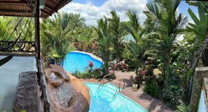 A pool surrounded by tropical vegetation, a hammock, and a covered area.