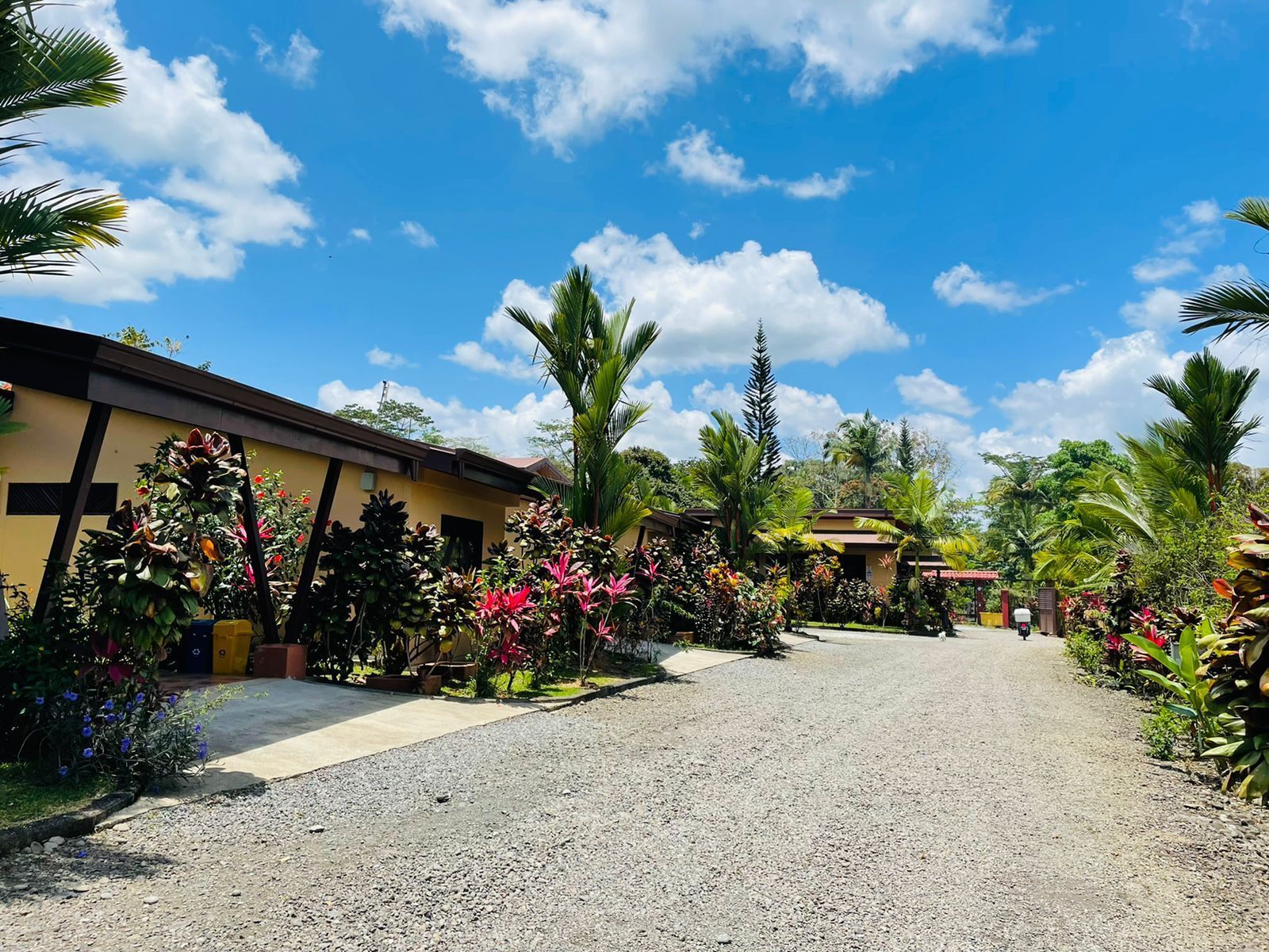 A hotel entrance with a gravel driveway, surrounded by lush tropical plants and palm trees.