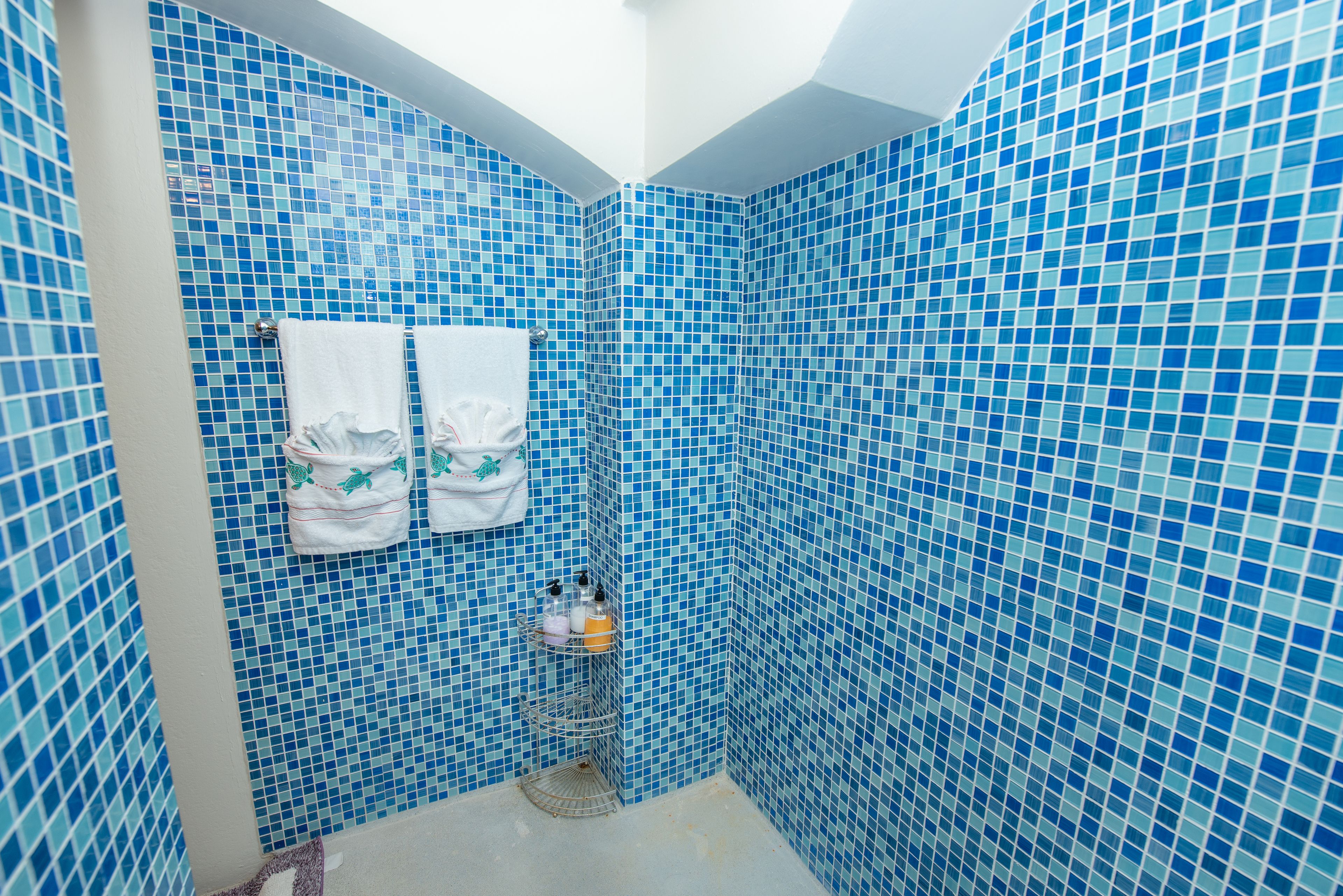 sea turtle, 1 bedroom, sea view, poolside | bathroom amenities | shower, free toiletries, hair dryer, towels