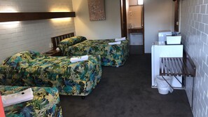 Desk, laptop workspace, iron/ironing board, free WiFi - Century Motor Inn (Finley)