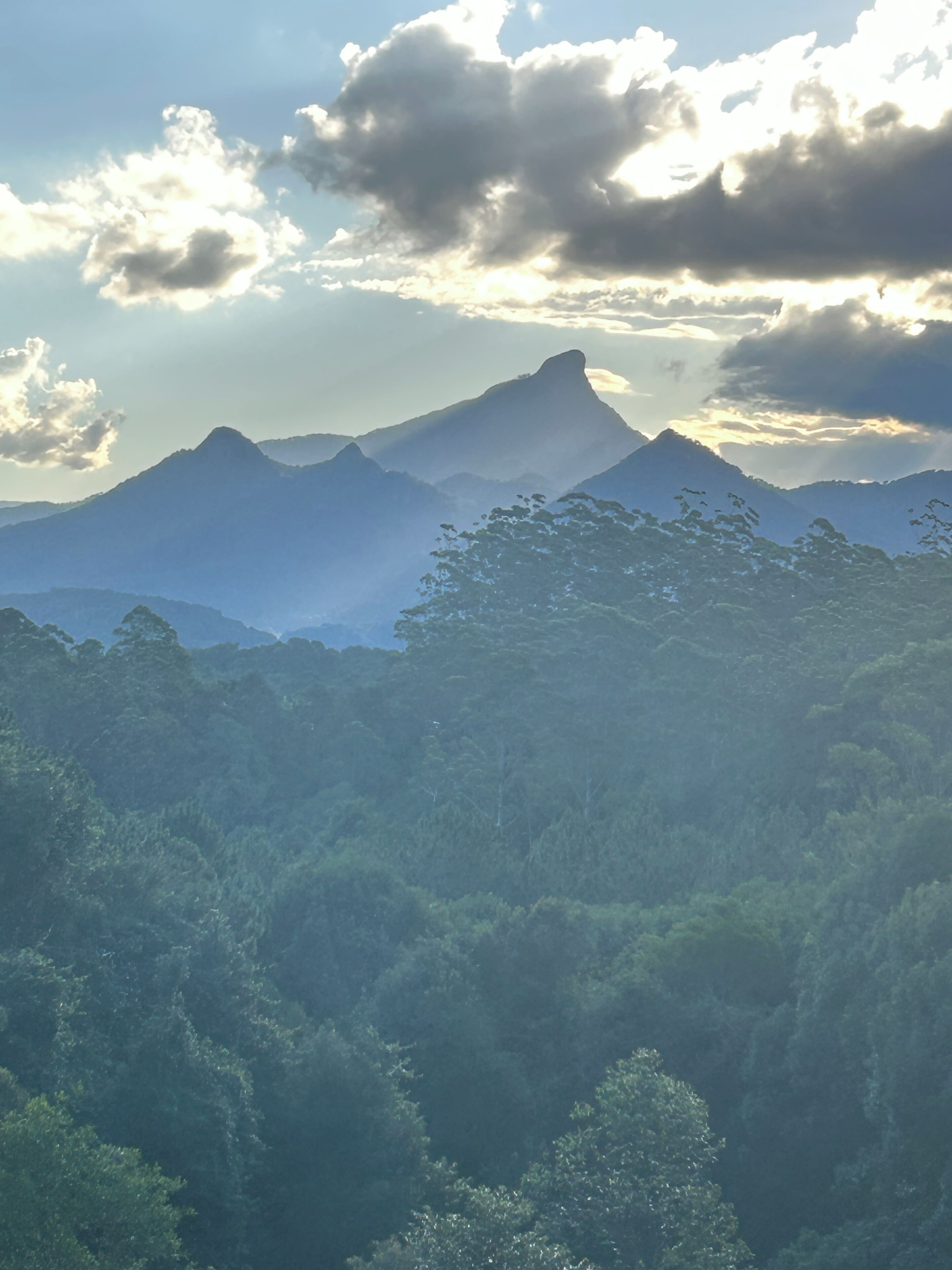 Une chaîne de montagnes avec un sommet imposant, une forêt dense au premier plan et un ciel partiellement nuageux.