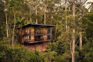 A two-story wooden cabin surrounded by dense forest.