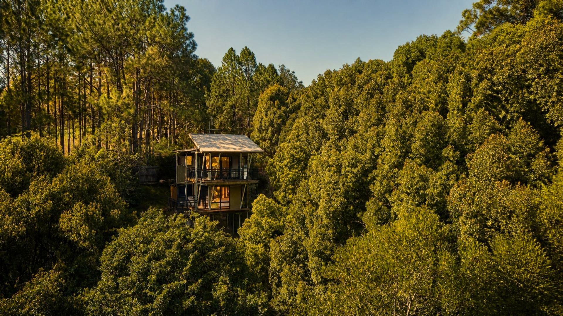 Una cabaña de dos pisos rodeada de un bosque denso.