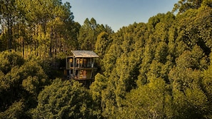 Una cabaña de dos pisos rodeada de un bosque denso.