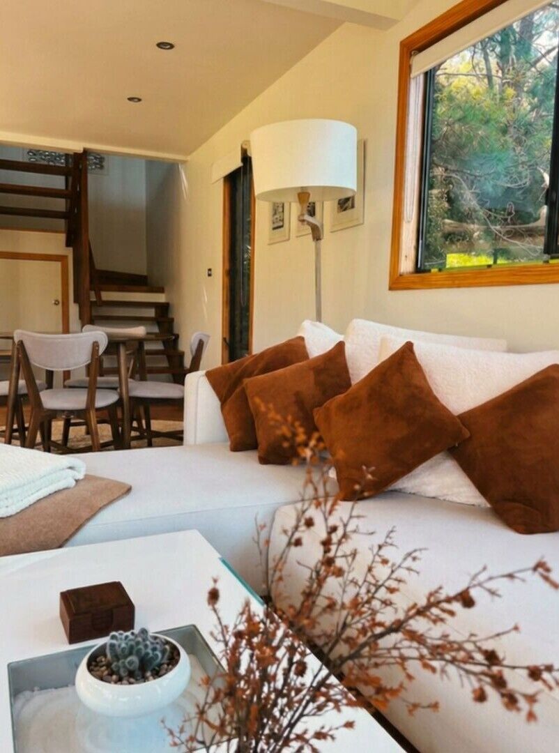 A modern living room with a sofa, pillows, a lamp, and a view of the outdoors.