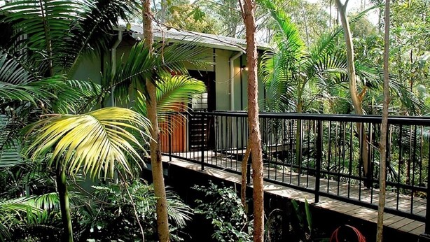 A tropical resort with a wooden deck, surrounded by lush greenery and palm trees.