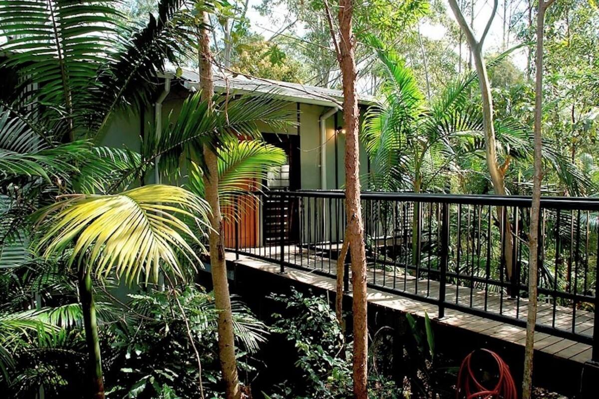 A treehouse with a wooden deck and metal railing, surrounded by dense tropical foliage.