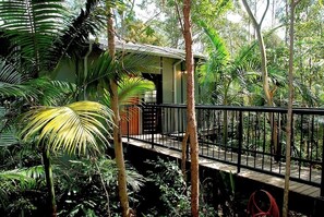 Una casa en un árbol con terraza de madera y barandilla de metal, rodeada de densa vegetación tropical.