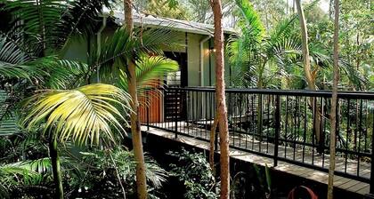 Ecoasis Mami Wata Retreat