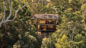 Una casa del árbol con cerramiento de vidrio, rodeada de bosque denso.
