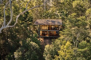 Una casa del árbol con cerramiento de vidrio, rodeada de bosque denso.