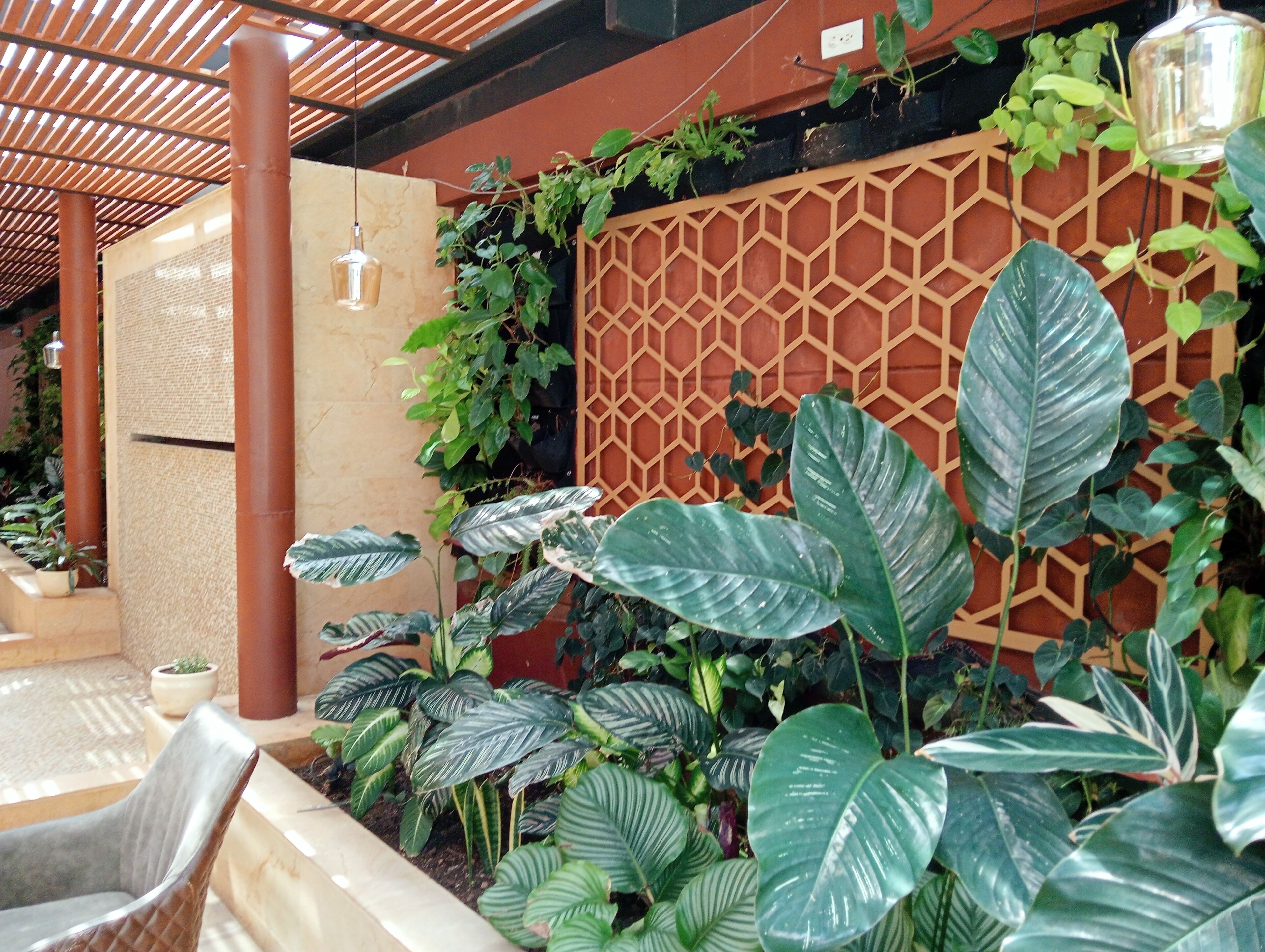 Foto - Hotel Lomas 10 Medellin