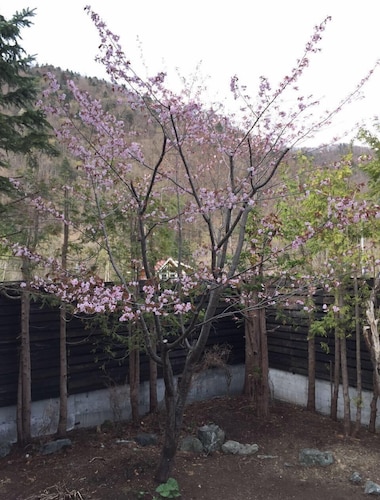 庭園