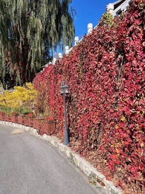 Exterior - Mutianyu GreatWall Wangshanyuan Homestay (Huairou)