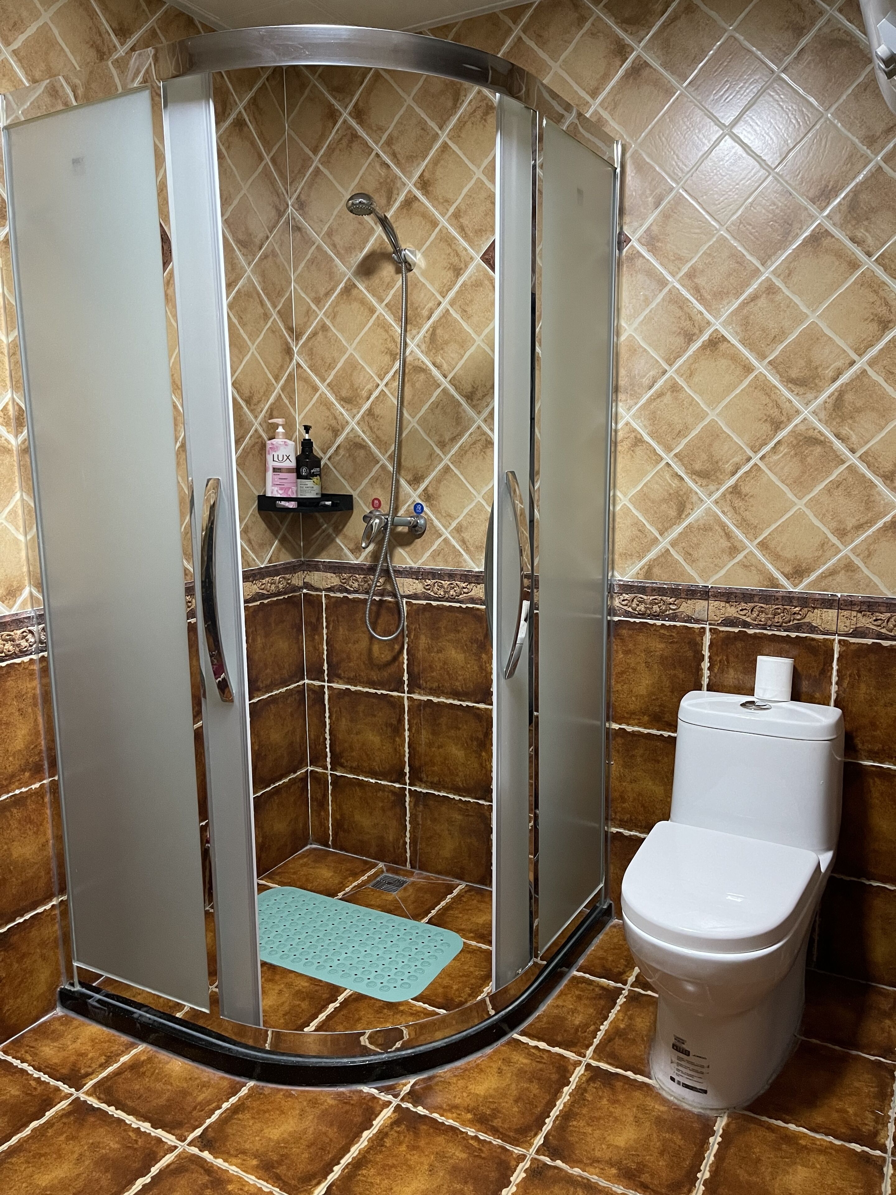 A shower enclosure with a glass door, a toilet, and a shelf with toiletries.