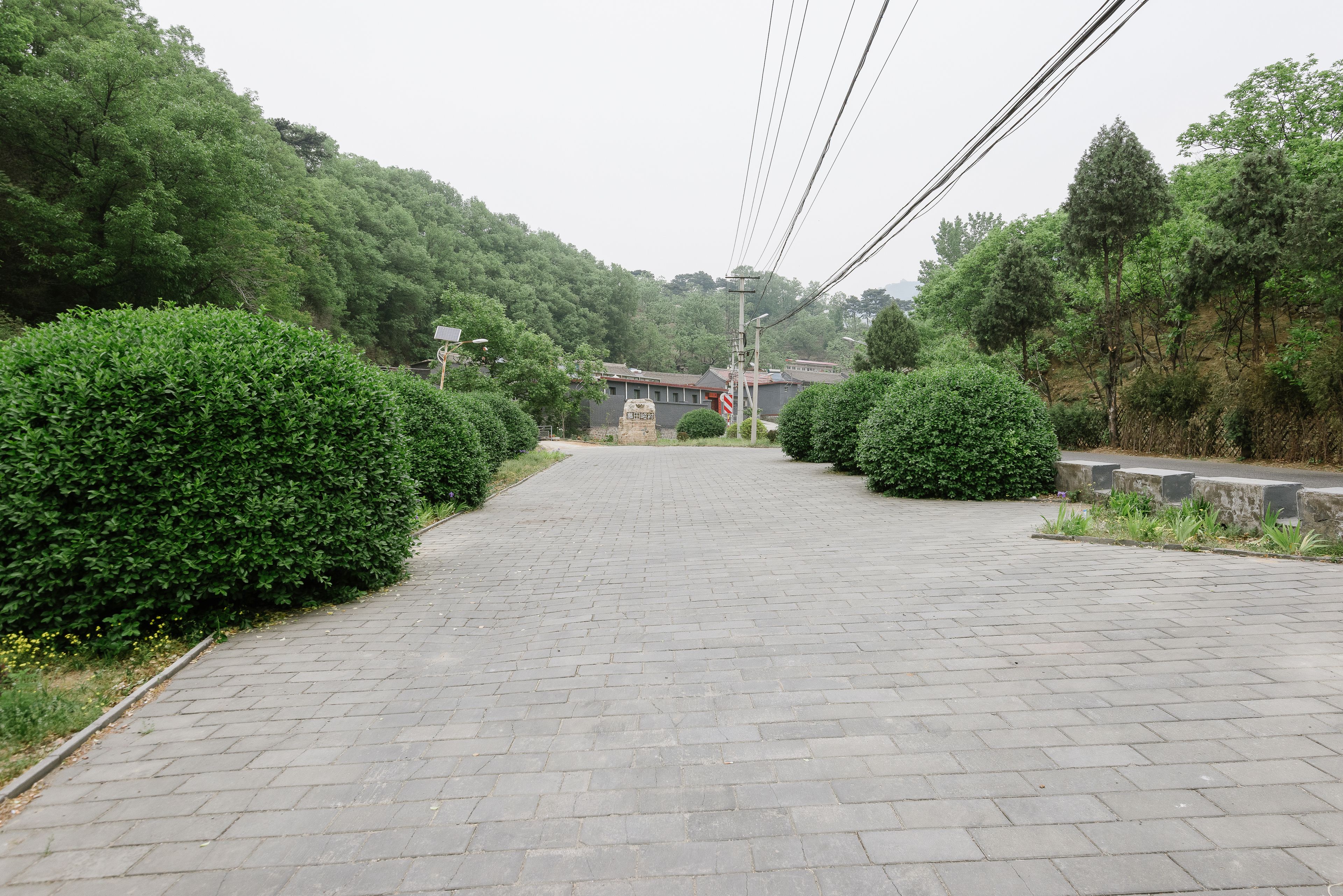 A paved pathway leading to a building with a sign that reads "CHEN".