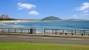 A coastal road with a beach, a mountain, and a fence. - Shandelle Apartments (Alexandra Headland)