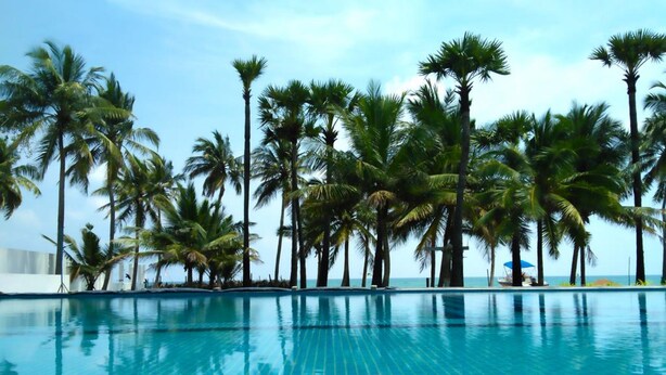 Una piscina con agua azul cristalina, rodeada de altas palmeras y un cielo despejado.