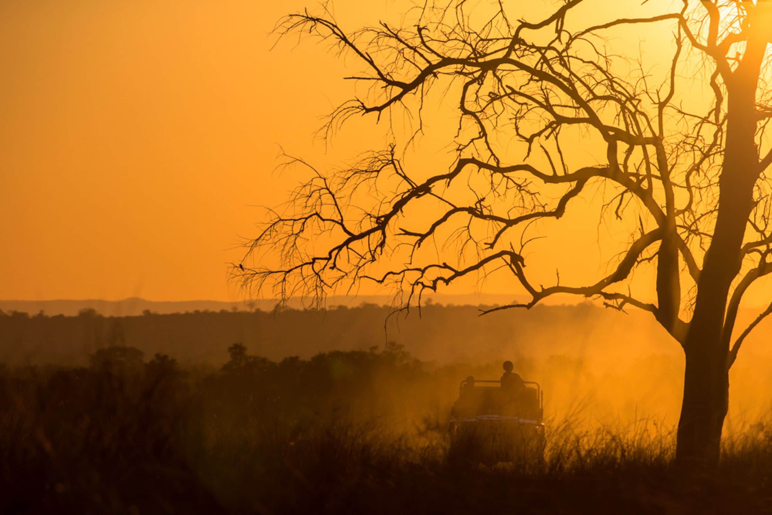 A tree silhouetted against a sunset with a vehicle in the foreground.
