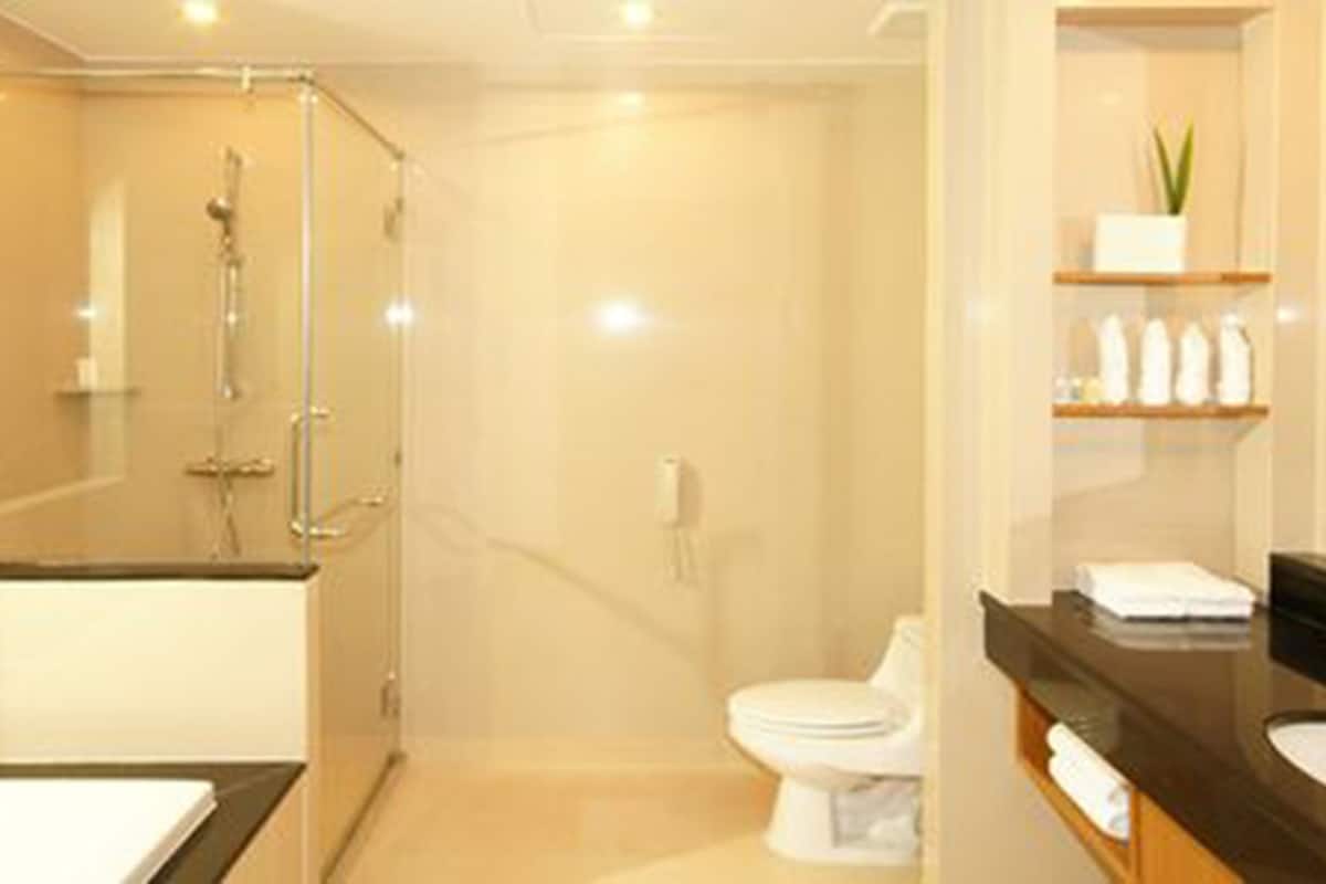 separate bathtub and shower, deep-soaking bathtub, hair dryer, bathrobes