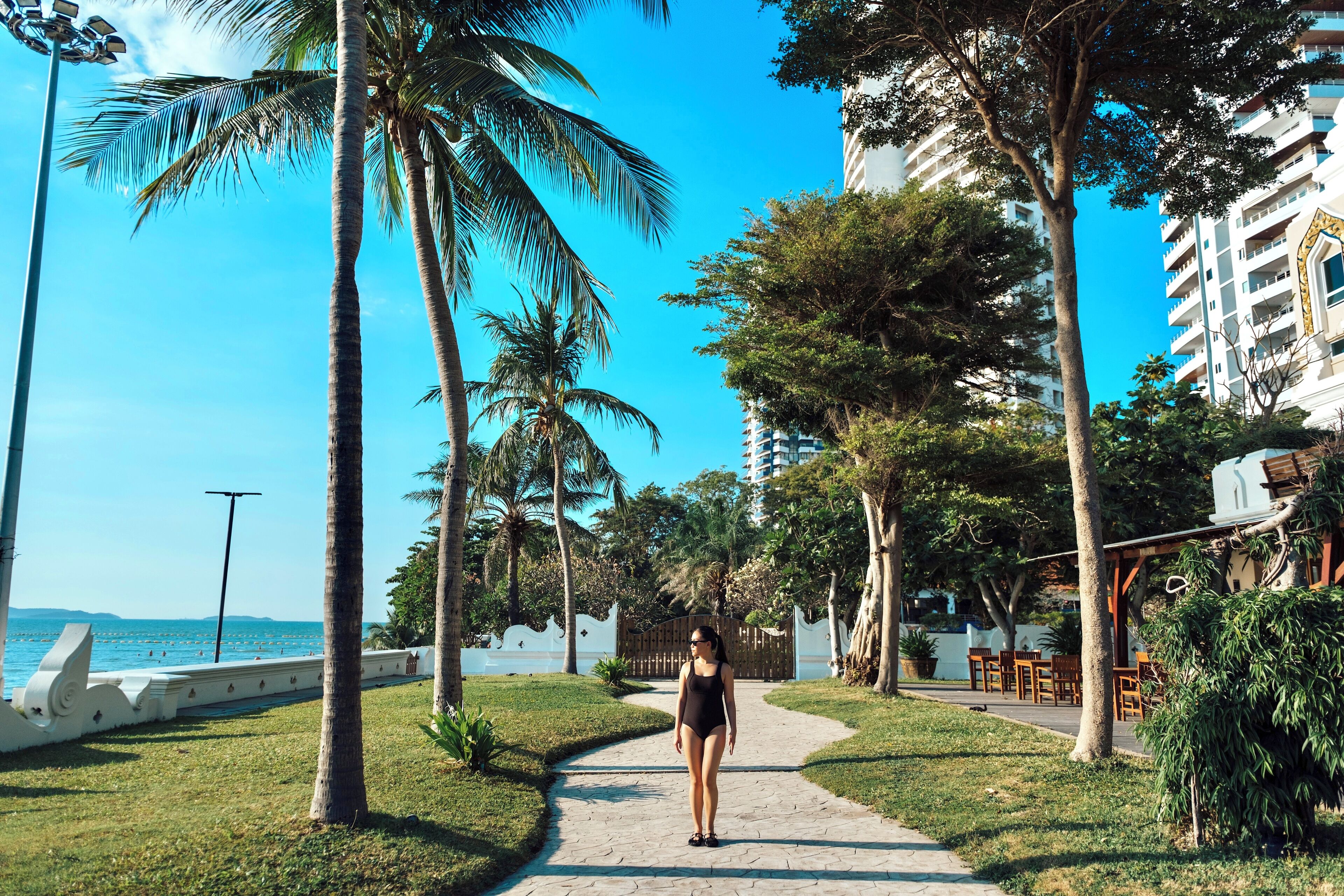 A pathway lined with palm trees and a building with balconies, leading towards a body of water.