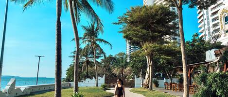 A pathway lined with palm trees and a building with balconies, leading towards a body of water.