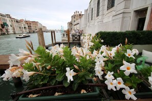 Un canal où naviguent des bateaux, une jetée en bois et une rangée de fleurs blanches plantées dans des jardinières.
