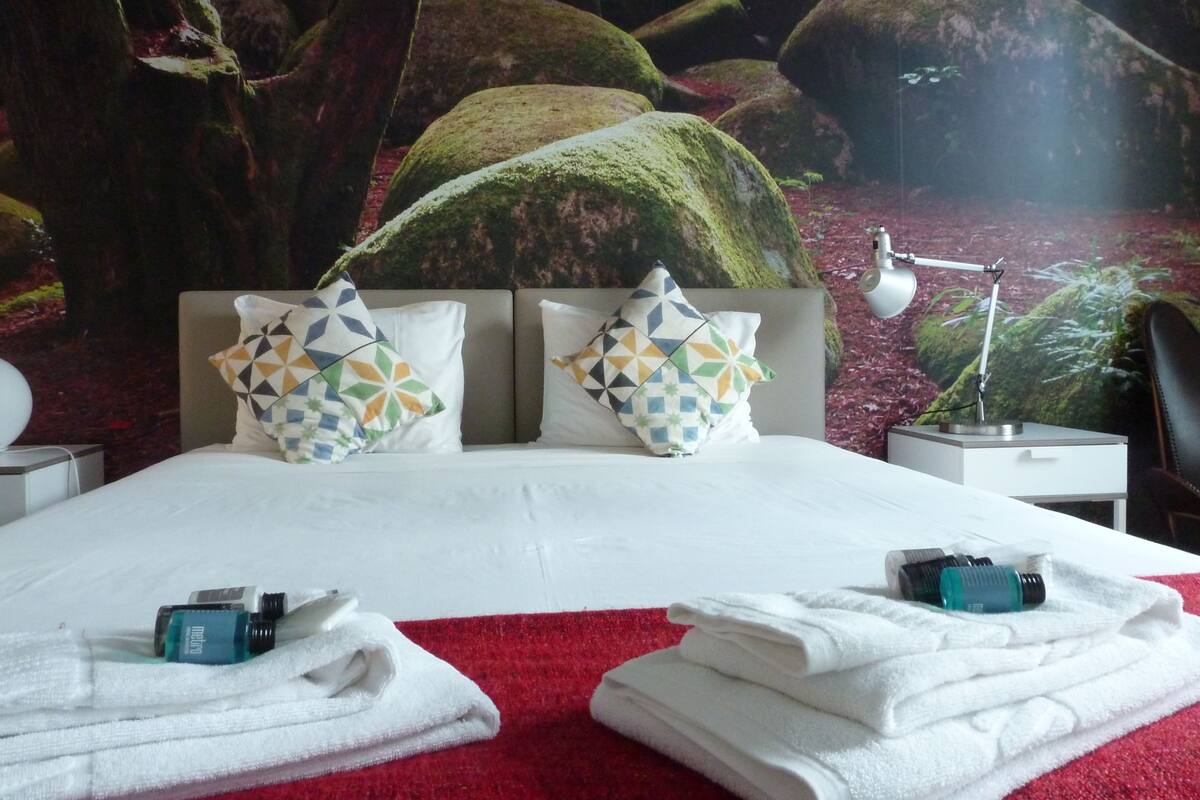 Superior Double Room, Private Bathroom | Soundproofing, free WiFi