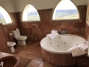 Habitación Panoramica Torreón | Baño | Regadera, amenidades de baño gratuitas, secadora de cabello, bidet 