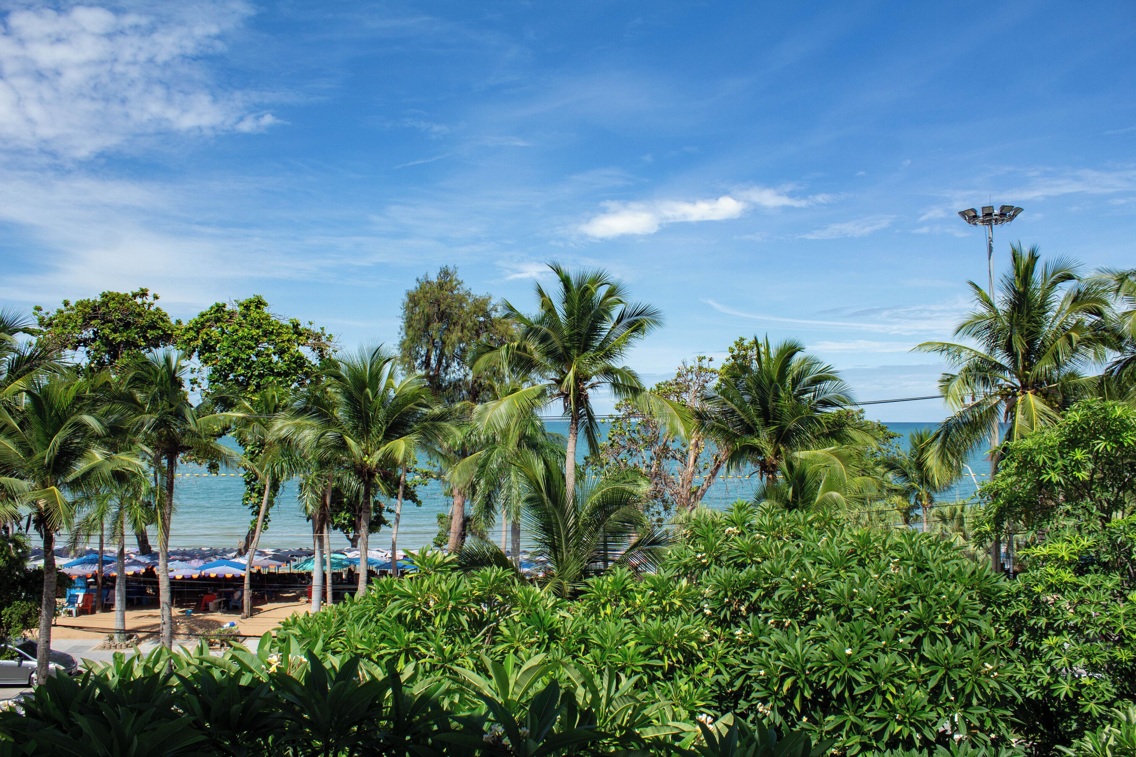 Foto - Avalon Beach Resort