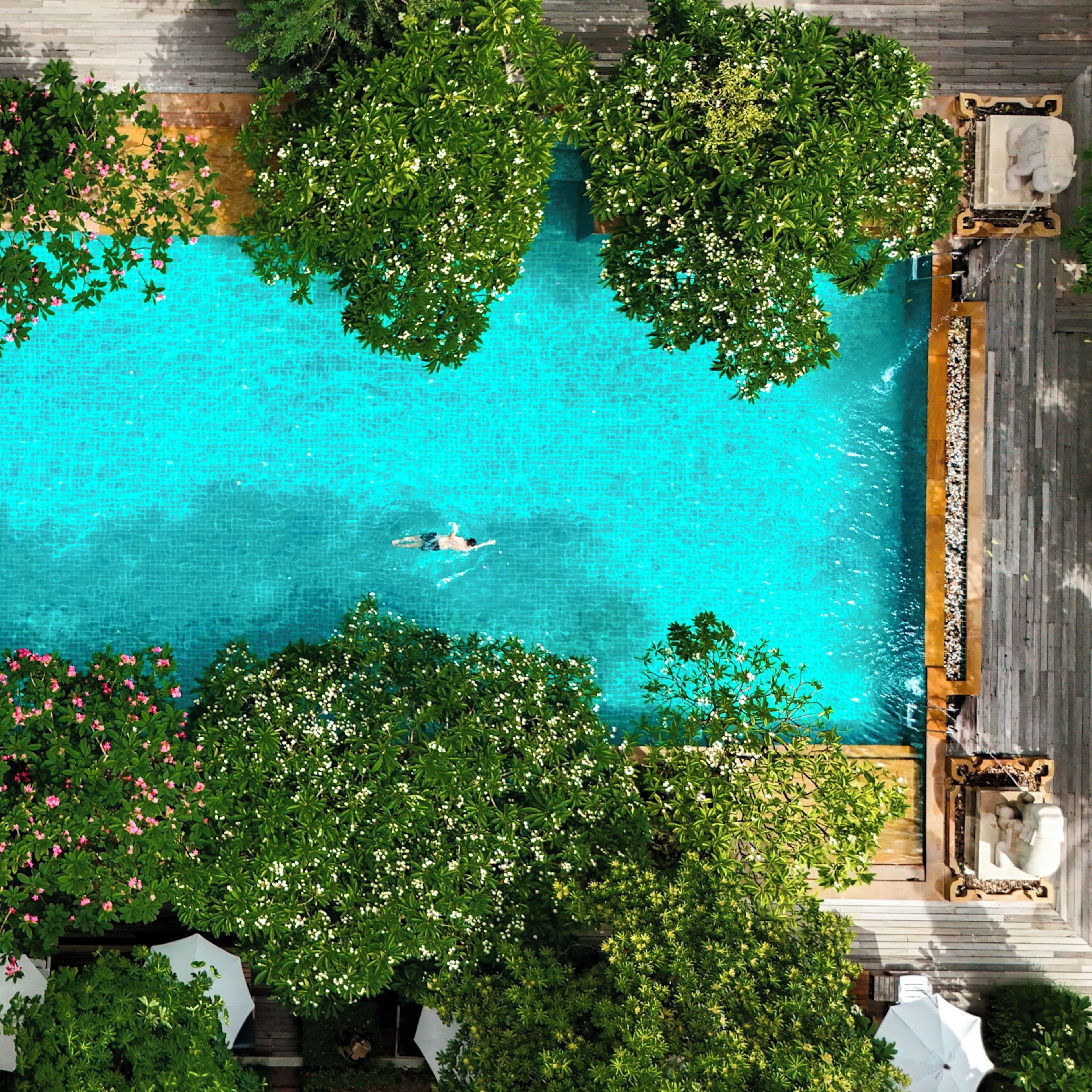 Foto - Avalon Beach Resort