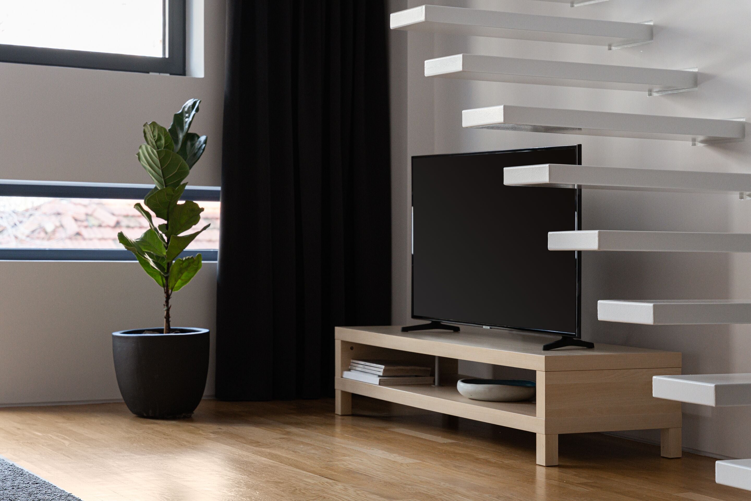A modern living room with a flat-screen TV on a wooden stand, a potted plant, and a minimalist shelving unit against the wall.