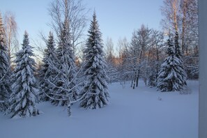 View from room