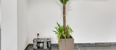 A potted plant next to a vintage espresso machine on a tiled floor, with a red artwork on the wall.