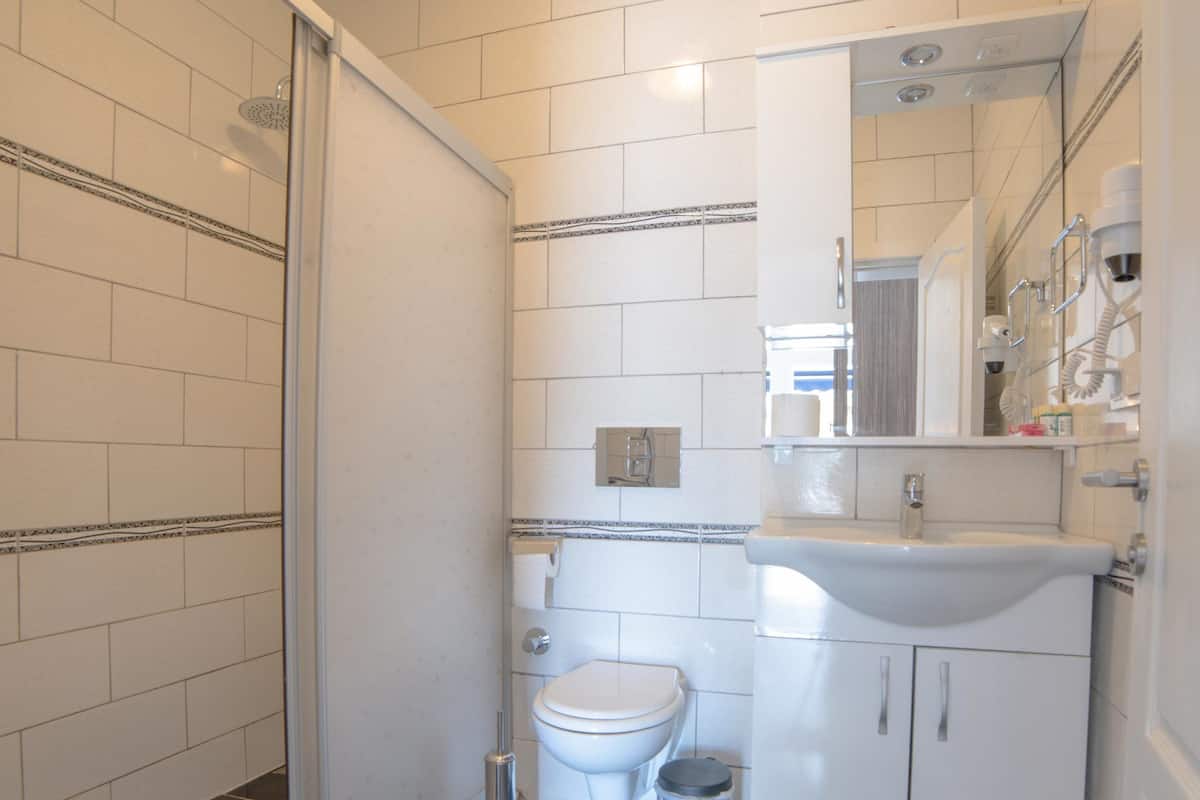 shower, free toiletries, hair dryer, slippers