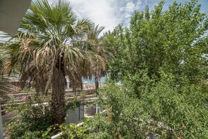 Vista desde la habitación