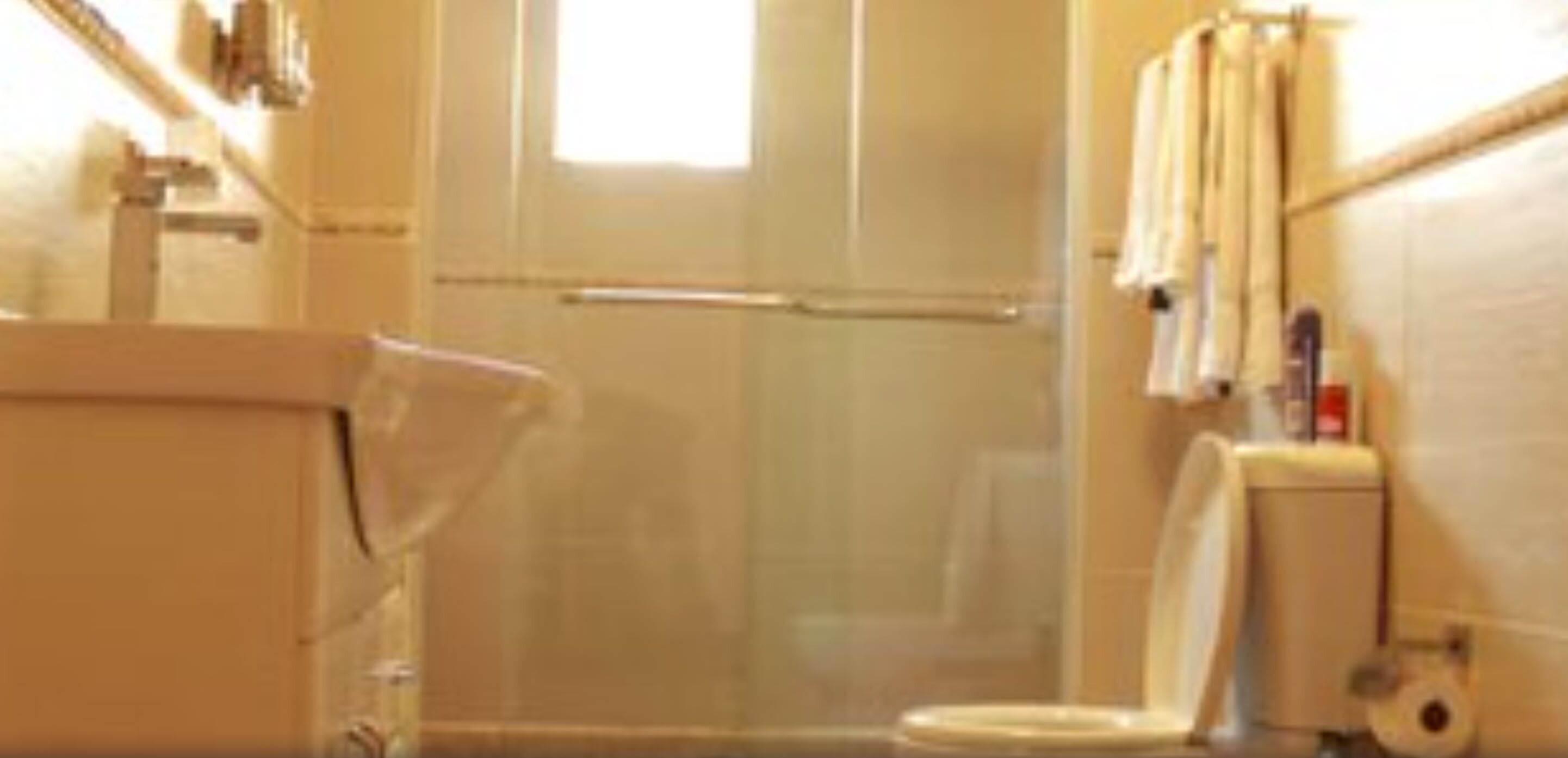 A bathroom with a shower, toilet, and towel rack.