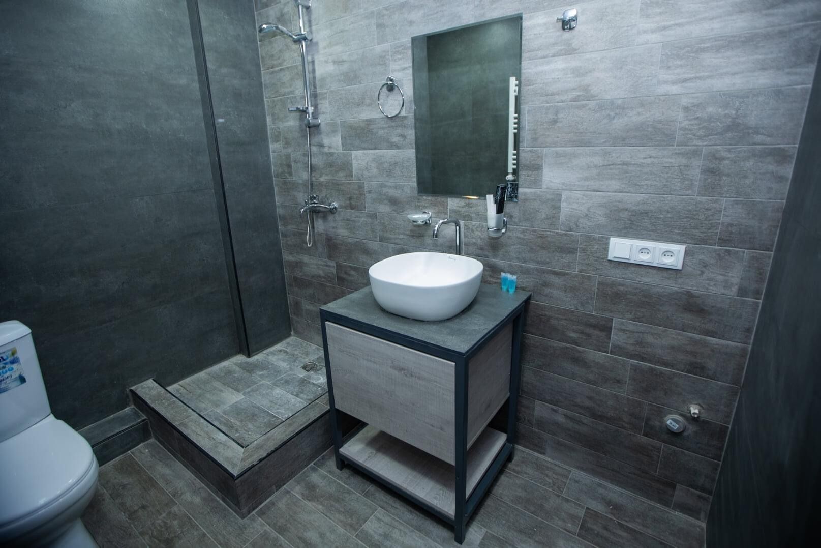 Apartment, 1 Queen Bed with Sofa bed, Mountain View | Bathroom | Shower, rainfall showerhead, free toiletries, hair dryer