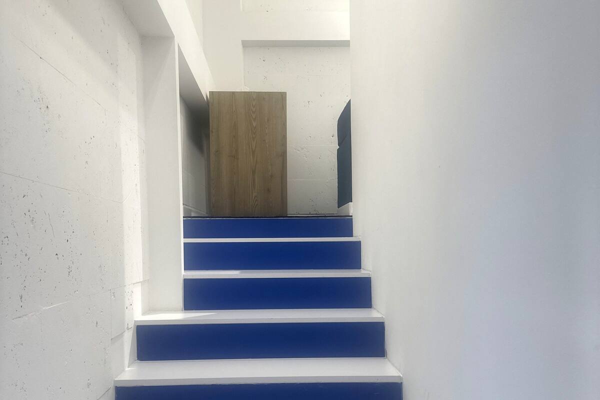 Un escalier aux marches bleues menant à une porte en bois.