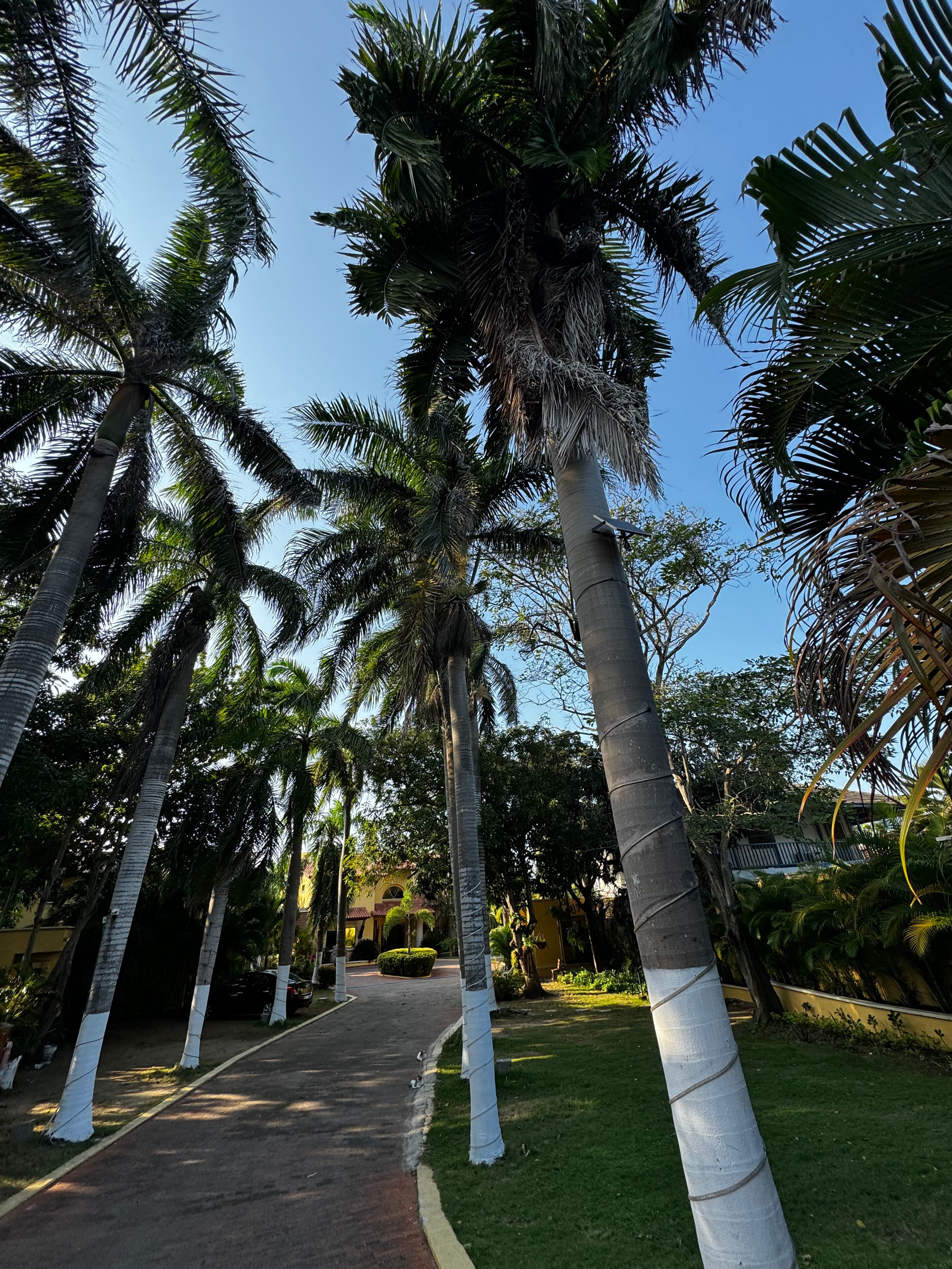 Fachada da propriedade
